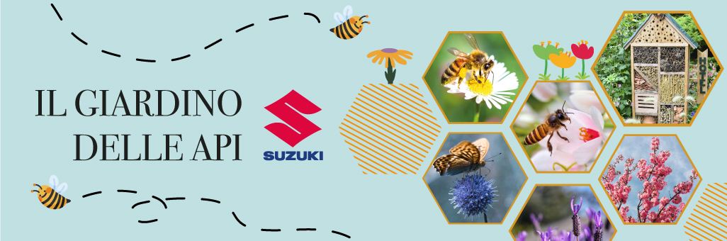 その他 Il Giardino Delle Api o7r6kf1 Il Giardino delle Api - Esperienza.com